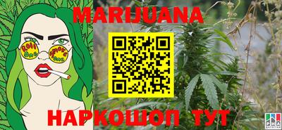 прущие крисы Кингисепп