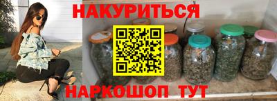 прущие крисы Кингисепп