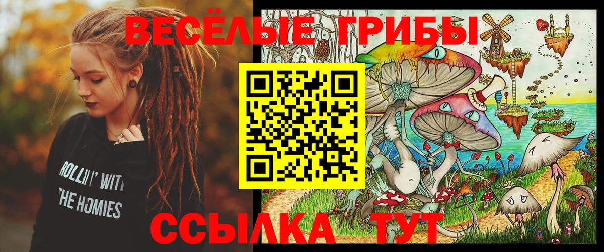 Галлюциногенные грибы Psilocybe Клин