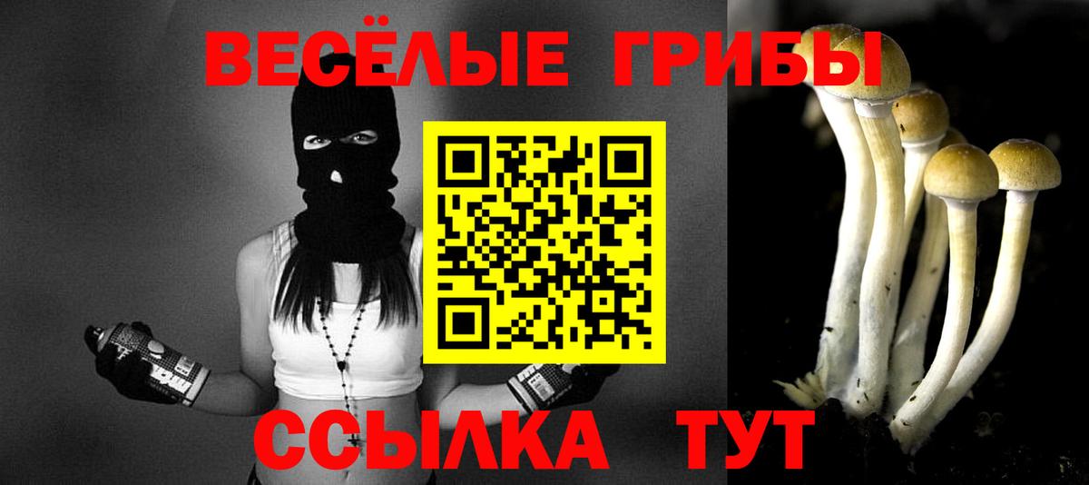 Клин  Псилоцибиновые грибы мухоморы  Вход с VPN  Псилоцибиновые грибы мухоморы 